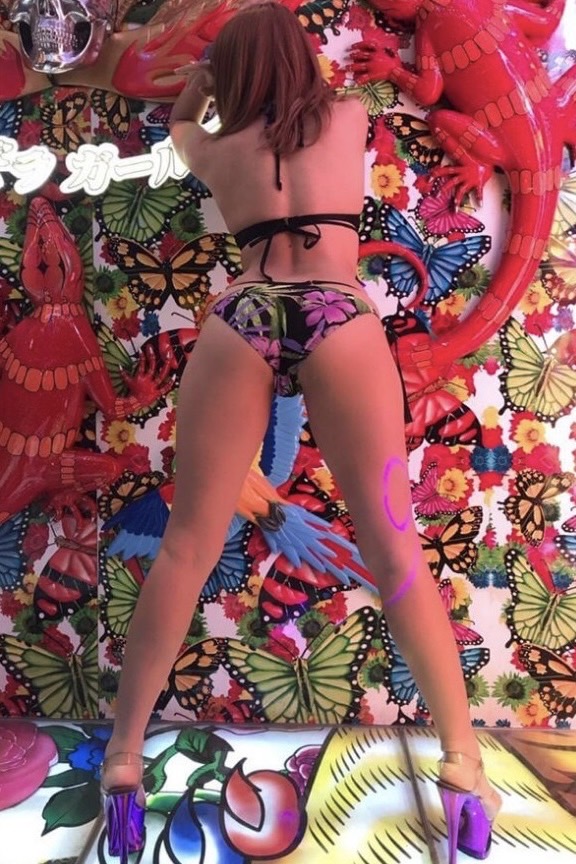 ツバメ